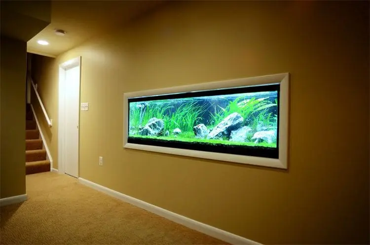 In Wall Fishtank