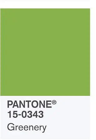 New Year, New Hue