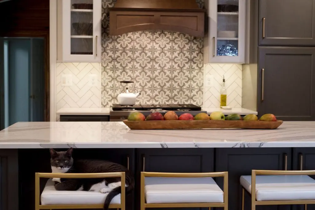 Modern Farmhouse Main Level – West Friendship