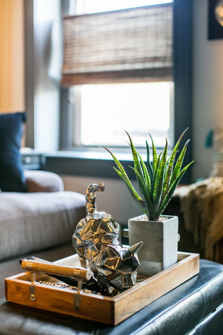 PORTFOLIO ADDITION: Industrial Kitchen & Great Room