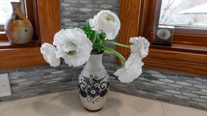 Portfolio Addition: Luxurious Transitional Home